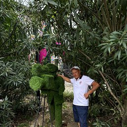 ��������, 63 ����, ������-��-����