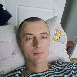 , 48, 