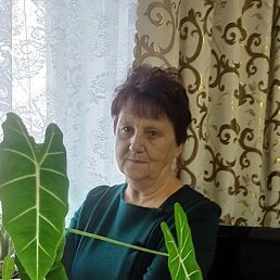 ����, ��������, 72 ����