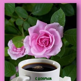 ���� ����, ������, 59 ��� - ��������� 24 ������ 2023