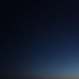 ����, �������, 49 ���