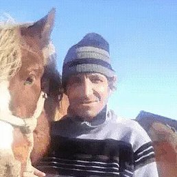 ��������, �������������, 53 ����