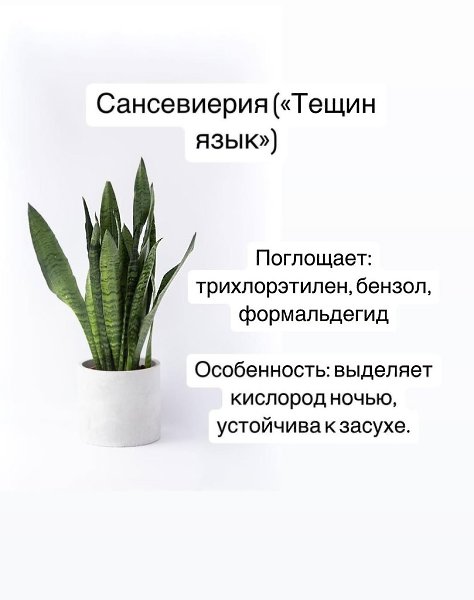 �������-����������yx�.����������������������y�����������,�����y����������������.������������������������-�����:����������������������yx����������,��y�������������������� - 2