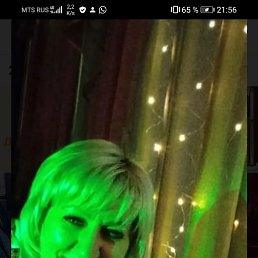 ���� �����, �������������, 43 ���� - ��������� 11 ������ 2024