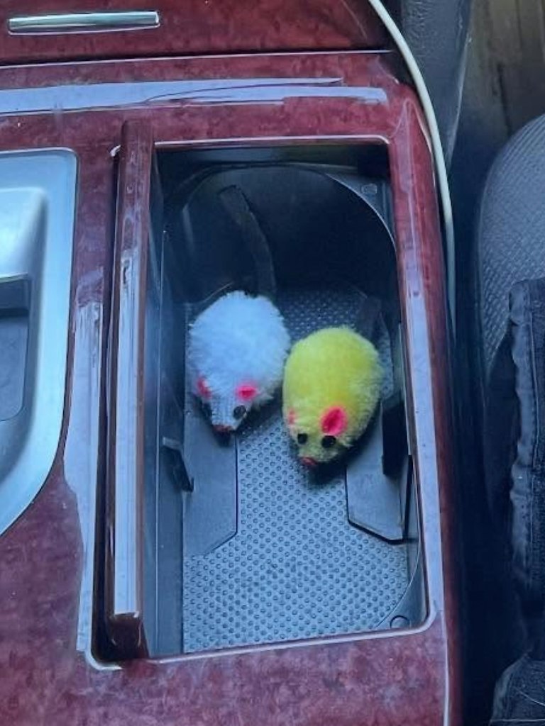 ������� ����� ���������� �������� � ��� ���������� � ����, ��� �������. ������� ����� �� ������. � ... - 3