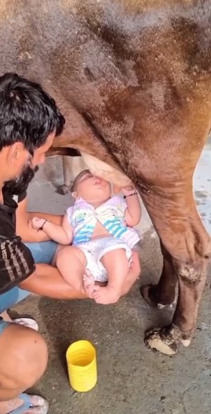 ������ ��� ���������, ���� �� ������ ���������, ����� ������� ��� ������