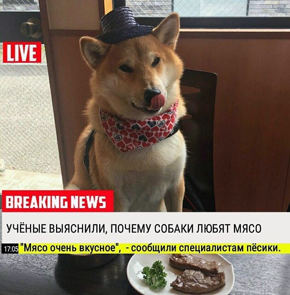 ����� ��������!