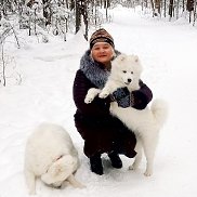 �������, , �����