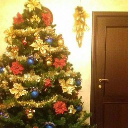 ��������, �����-���������, 39 ���