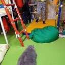���� �������, ������ - ��������� 19 ������ 2025 � ������ ������ ��������
