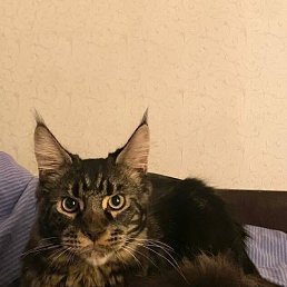 ���� ������, �����������, 62 ���� - ��������� 23 ������� 2026