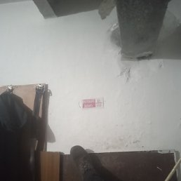 �������, ������, 38 ���