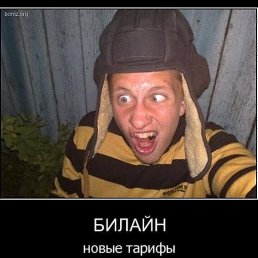 �����, ������, 38 ���