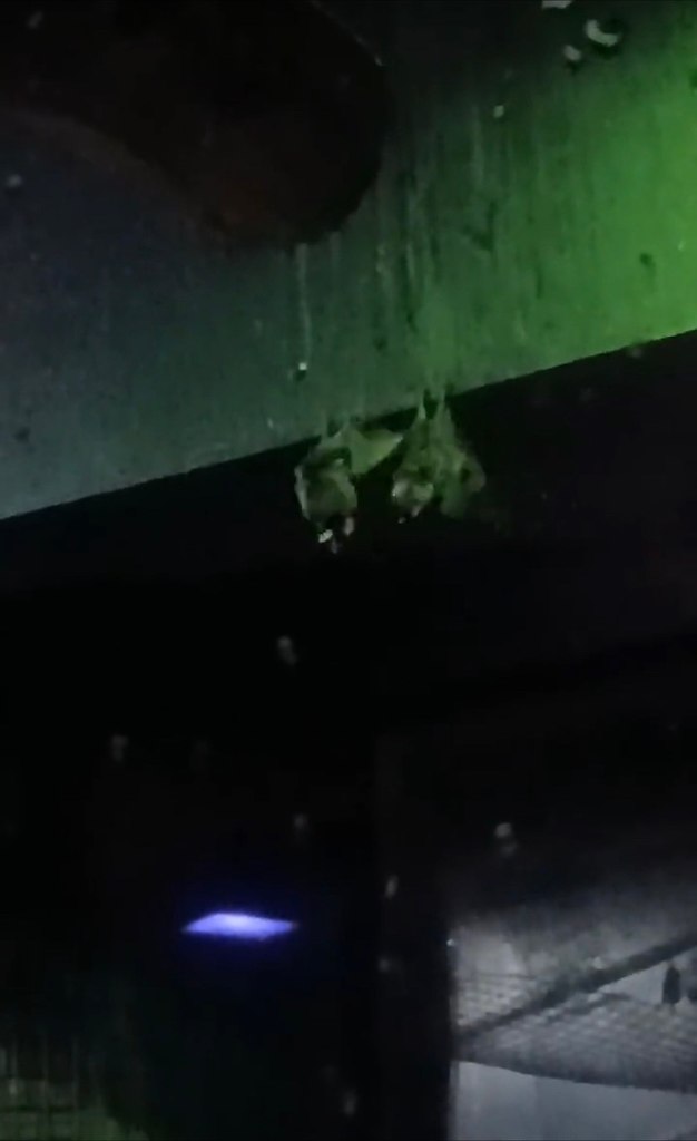 pe aepac oeo: oe ac pa  e e. poe ape ... - 2