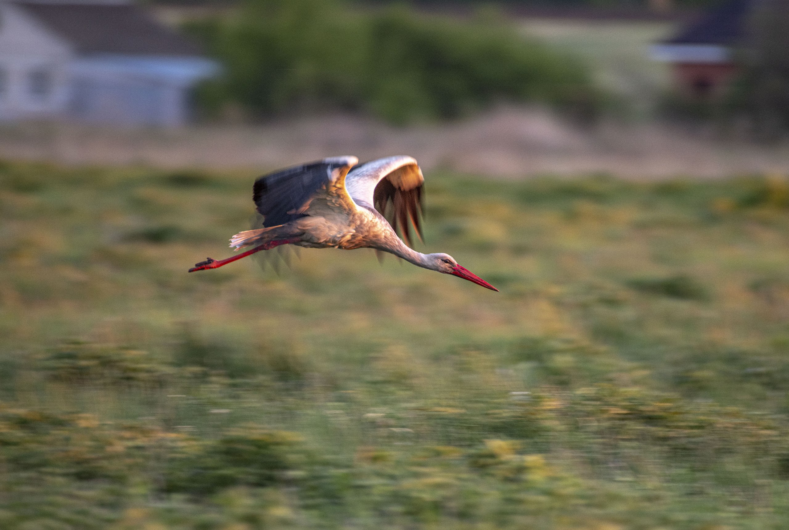  - 18  2025  23:41 - 7