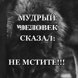 ���� ������, ������, 39 ��� - ��������� 14 ������ 2026