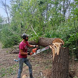 ���� ��������, ������-��-����, 38 ��� - ��������� 17 ������� 2026