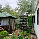 ���� �����, ������, 71 ��� - ��������� 15 ������� 2025 � ������ ���� ����������