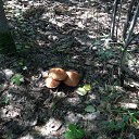 ���� �, ������������, 61 ��� - ��������� 28 ������� 2025 � ������ ���� ����������