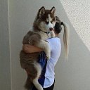 ���� ���������, ���������, 40 ��� - ��������� 7 ������� 2024 � ������ ���� ����������