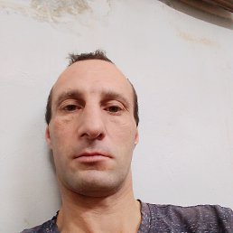 , 37, 