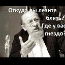 ���� ������, ������ ��������, 36 ��� - ��������� 6 ����� 2025 � ������ ���� ����������