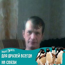 ���������., 50 ���, ������