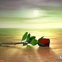 ���� �������, �����������, 50 ��� - ��������� 7 ������� 2025 � ������ ������ ��������