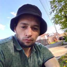 , 33, 