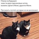  ,  -  31  2025    