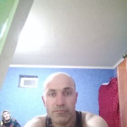 , 41, 