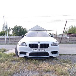 ���� ������, �����������, 34 ���� - ��������� 25 ��� 2026