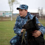 �����, 29 ���, ������