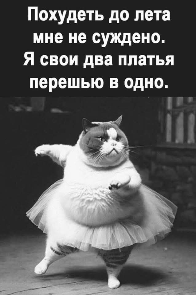 Iga - 7 ��� 2025 � 10:26