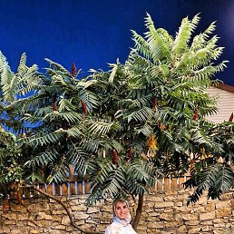 �����, �������, 42 ����