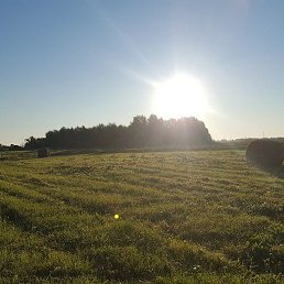 ����, ������, 38 ���