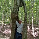 ���� ������, �������, 59 ��� - ��������� 11 ������� 2025