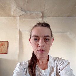 ������, 37 ���, ������