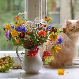 Olga, �������, 63 ����