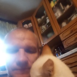 ���, ������, 49 ���