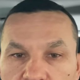 ������, �����, 46 ���