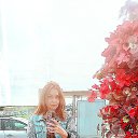 ���� ������, ������, 55 ��� - ��������� 13 ��� 2026 � ������ ���� ����������