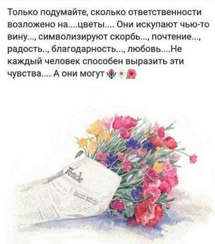   - 16  2025  15:20