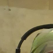 �������, 50 ���, ����