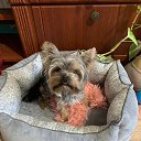  Roman Zaicev, , 48  -  7  2024    