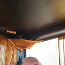 ���� ����, �����, 46 ��� - ��������� 30 ������� 2023 � ������ ���� ����������