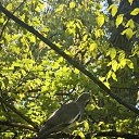 ���� ��������, ��������, 52 ���� - ��������� 29 �������� 2024 � ������ �����.�