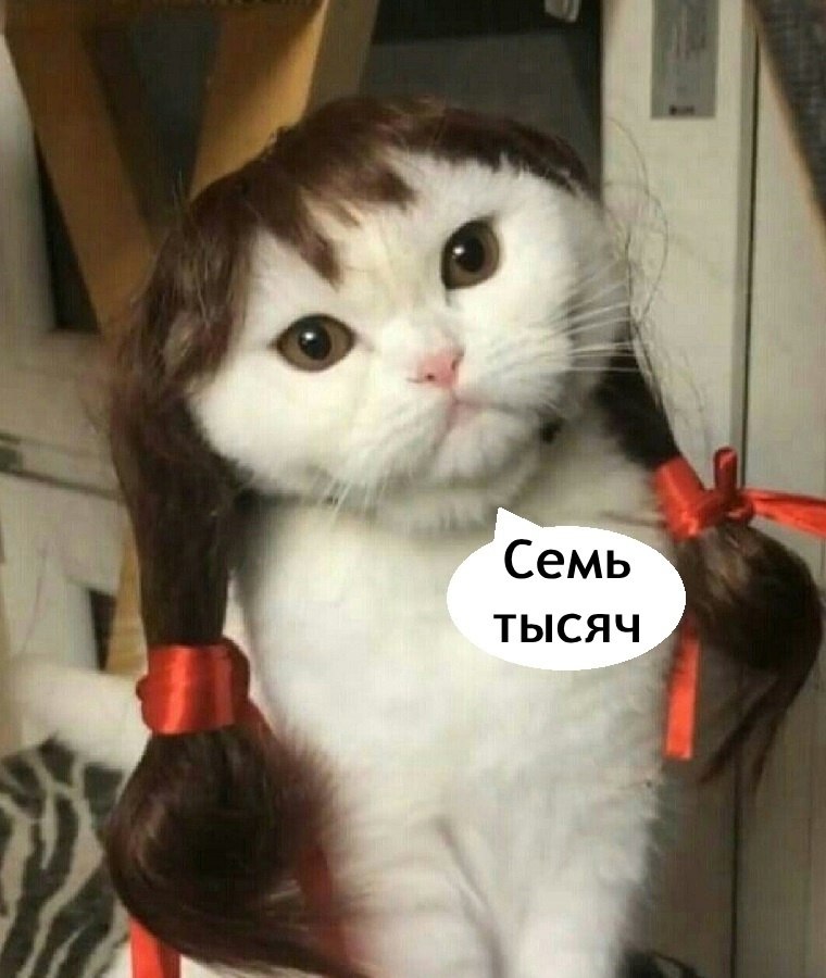     - 3