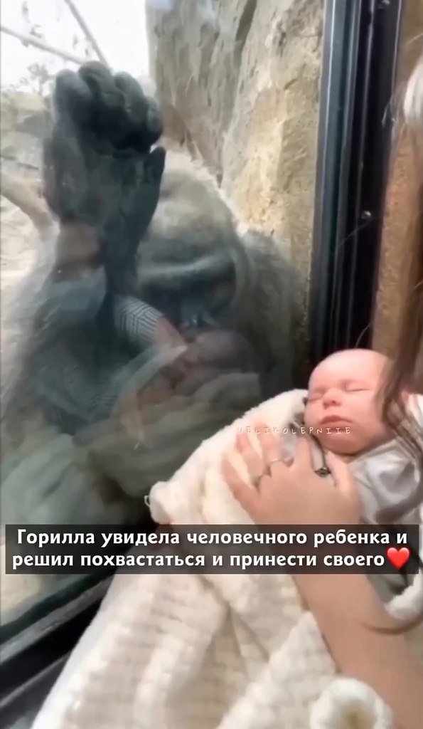   ,         ,  !
