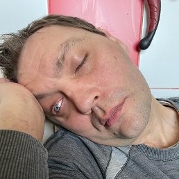 ����, ������, 41 ���